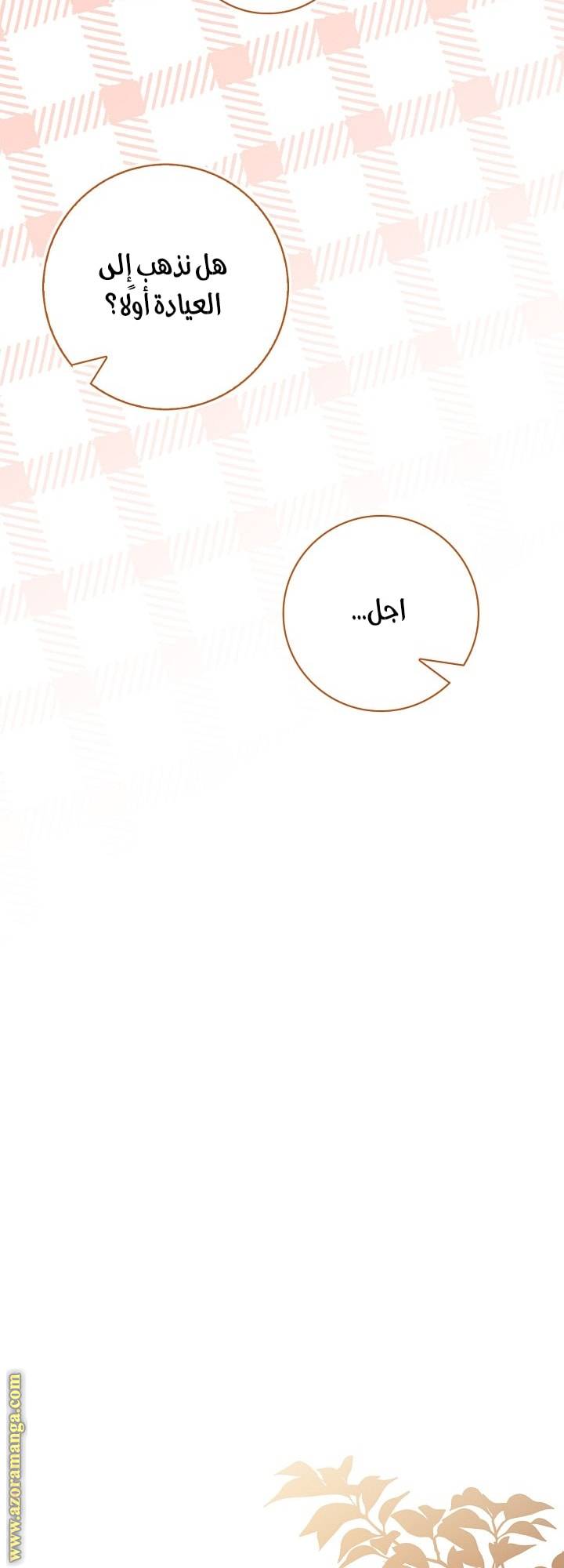 الصفحة 48