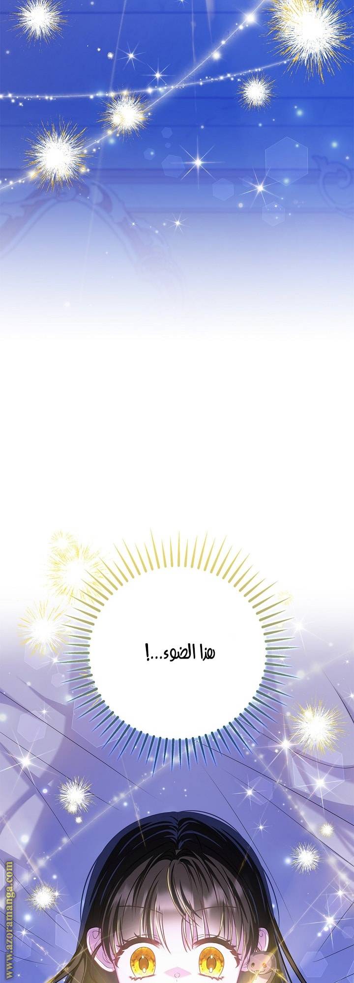 الصفحة 74