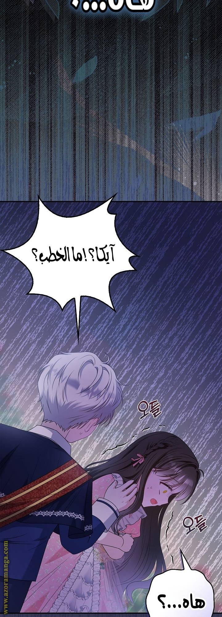 الصفحة 24