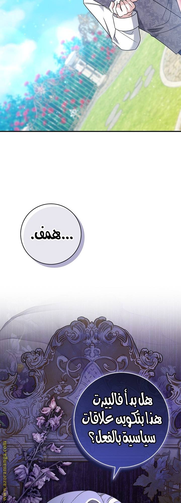 الصفحة 29
