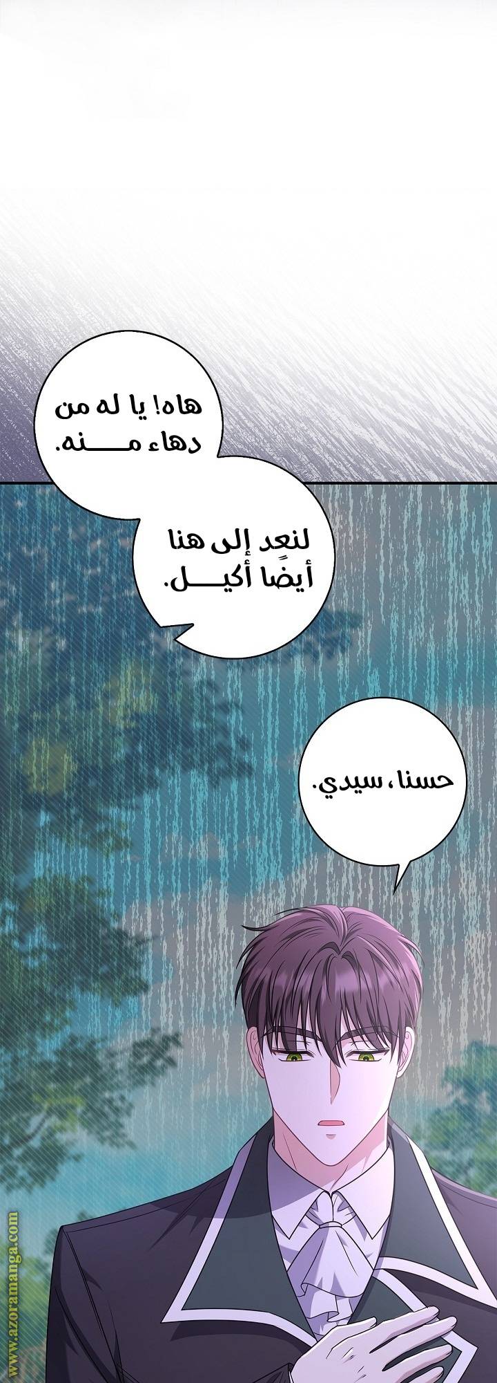 الصفحة 31