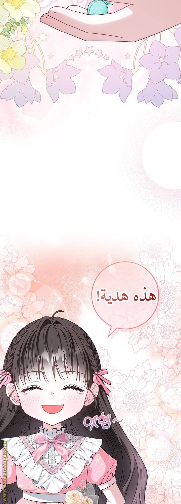 الصفحة 41