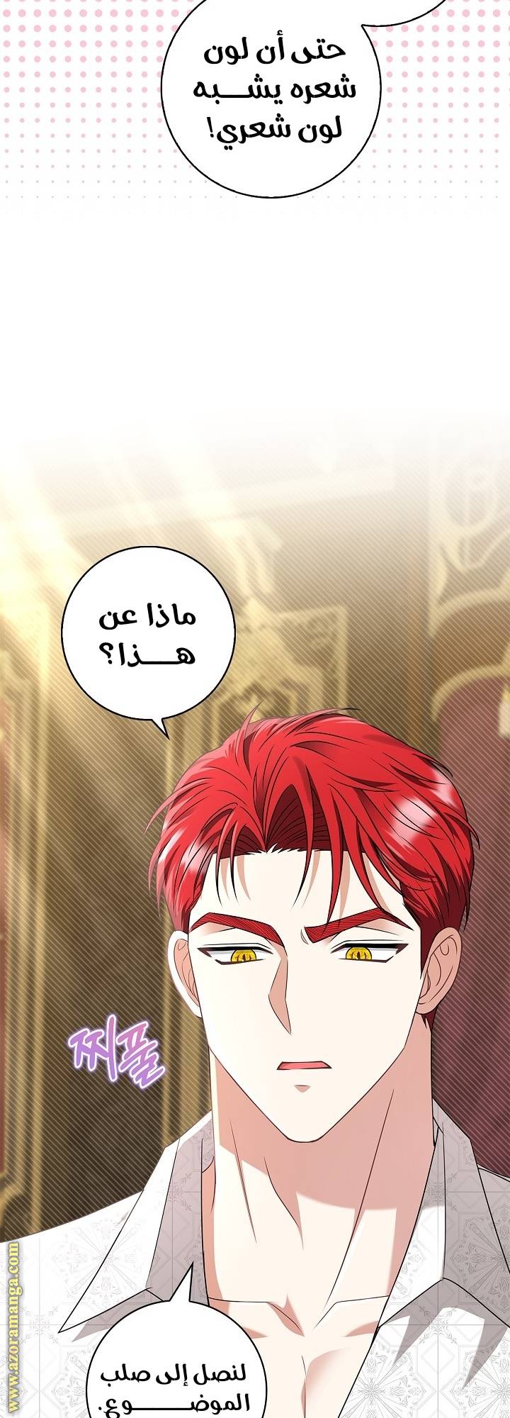 الصفحة 64