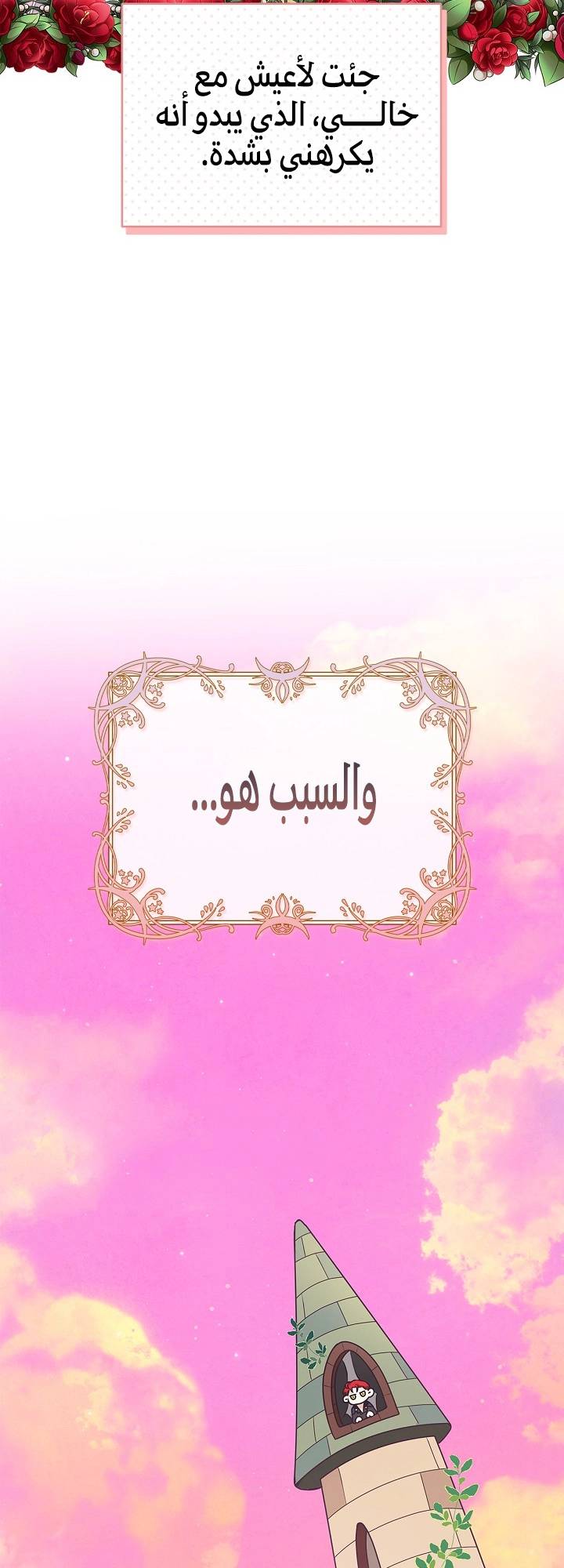 الصفحة 27
