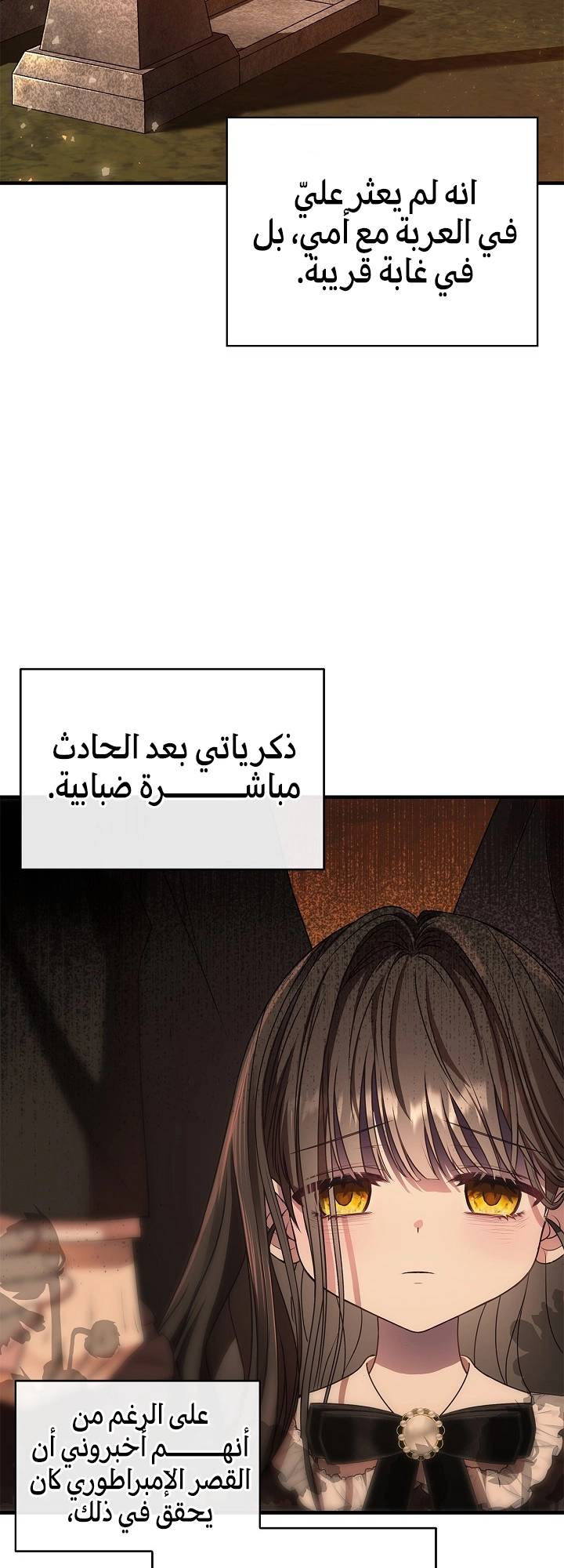 الصفحة 85