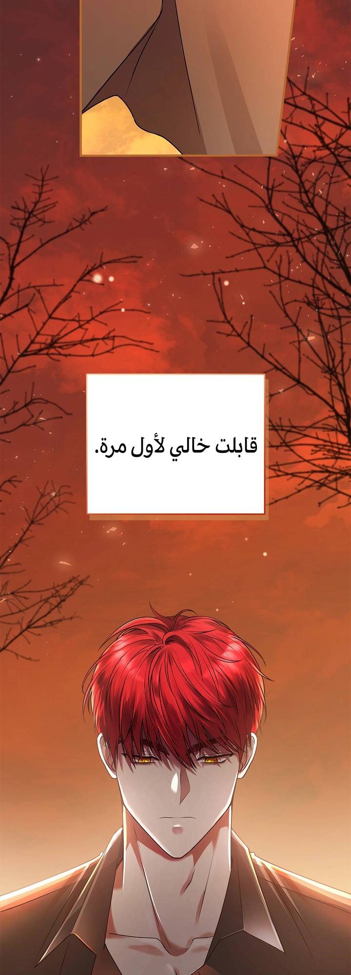 الصفحة 92
