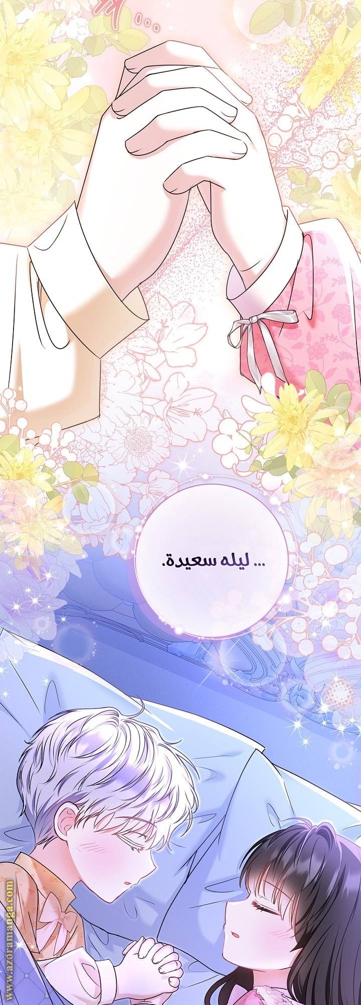 الصفحة 29