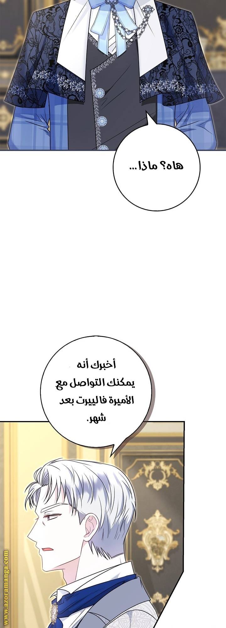 الصفحة 46