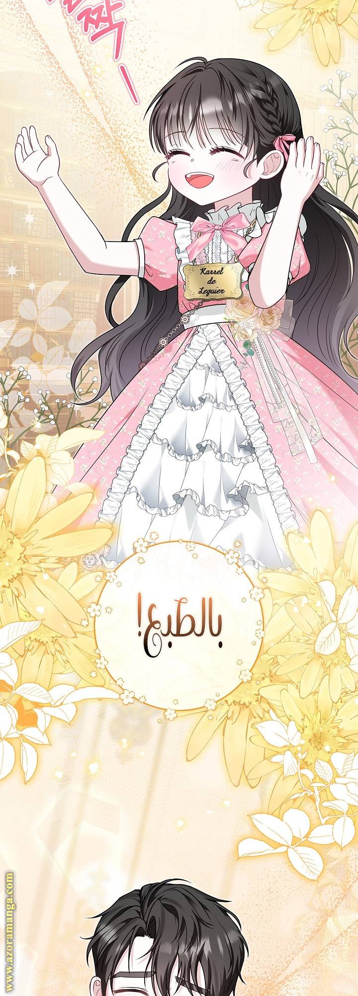 الصفحة 17