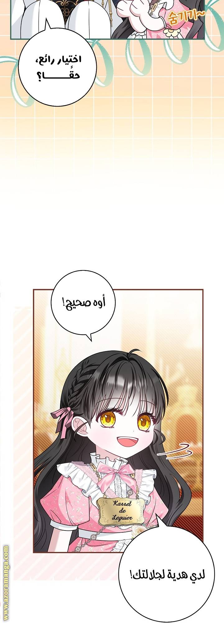 الصفحة 25