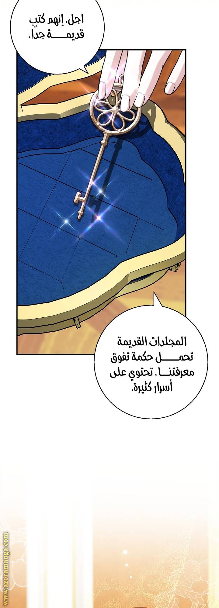 الصفحة 43