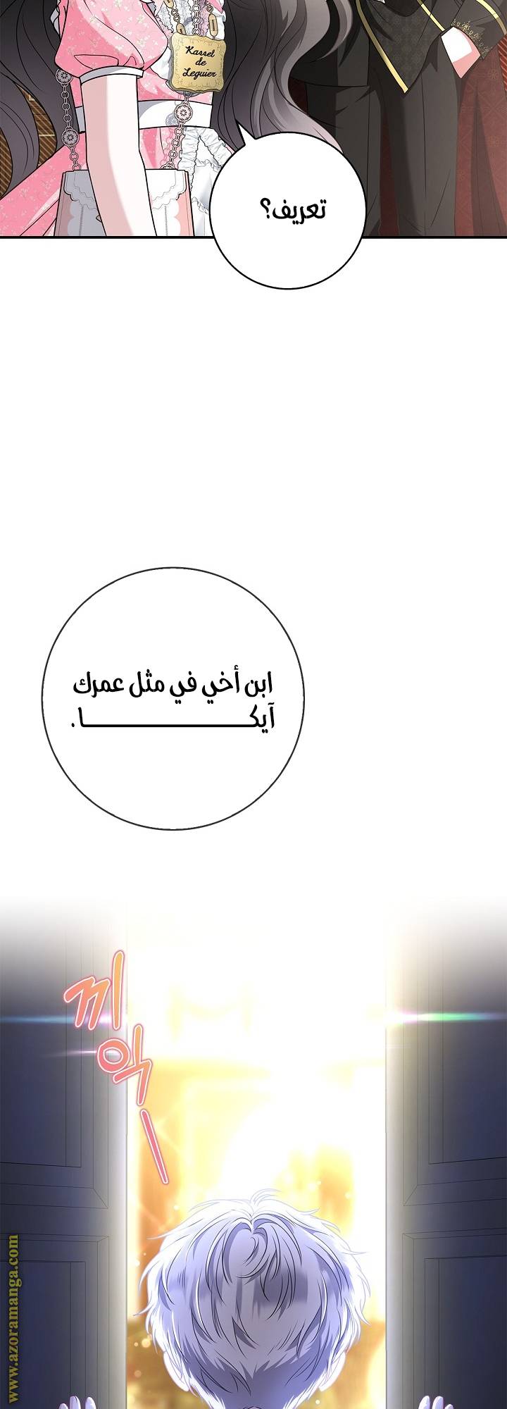 الصفحة 53