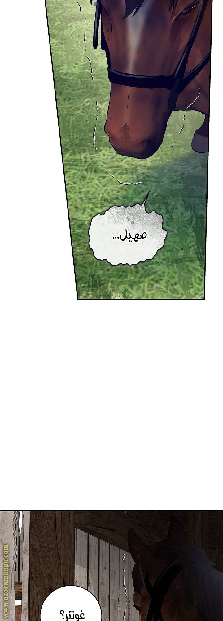 الصفحة 15