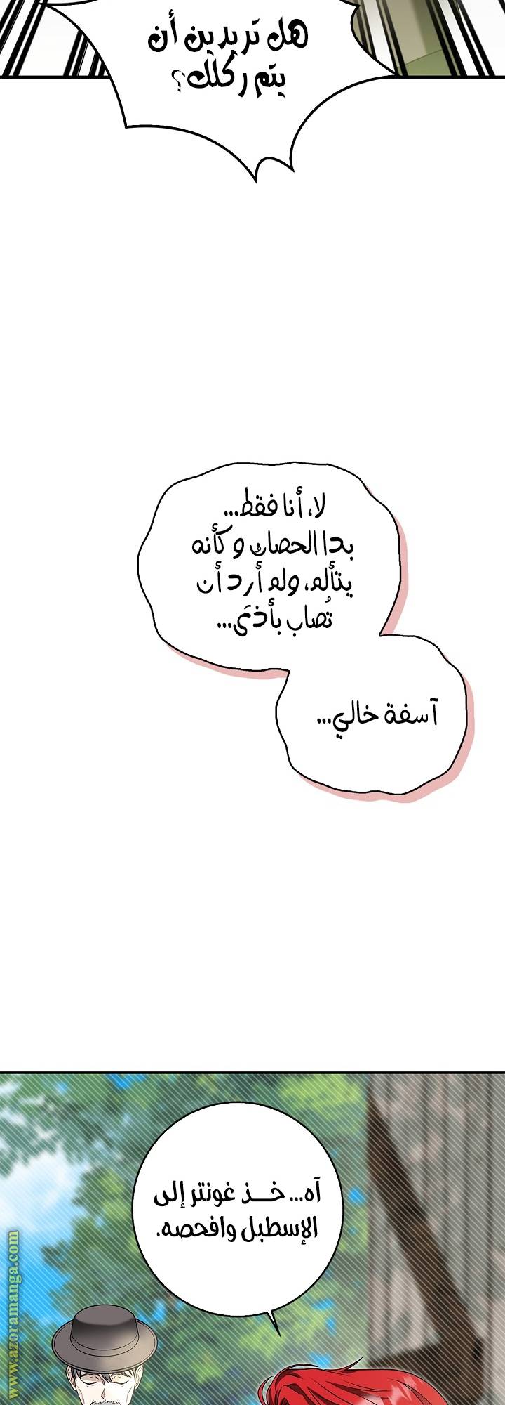 الصفحة 23