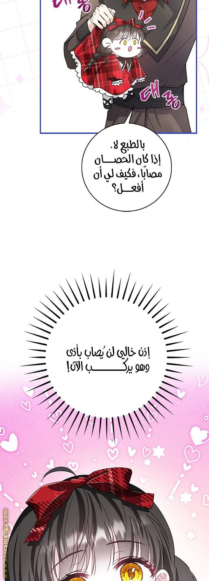 الصفحة 25