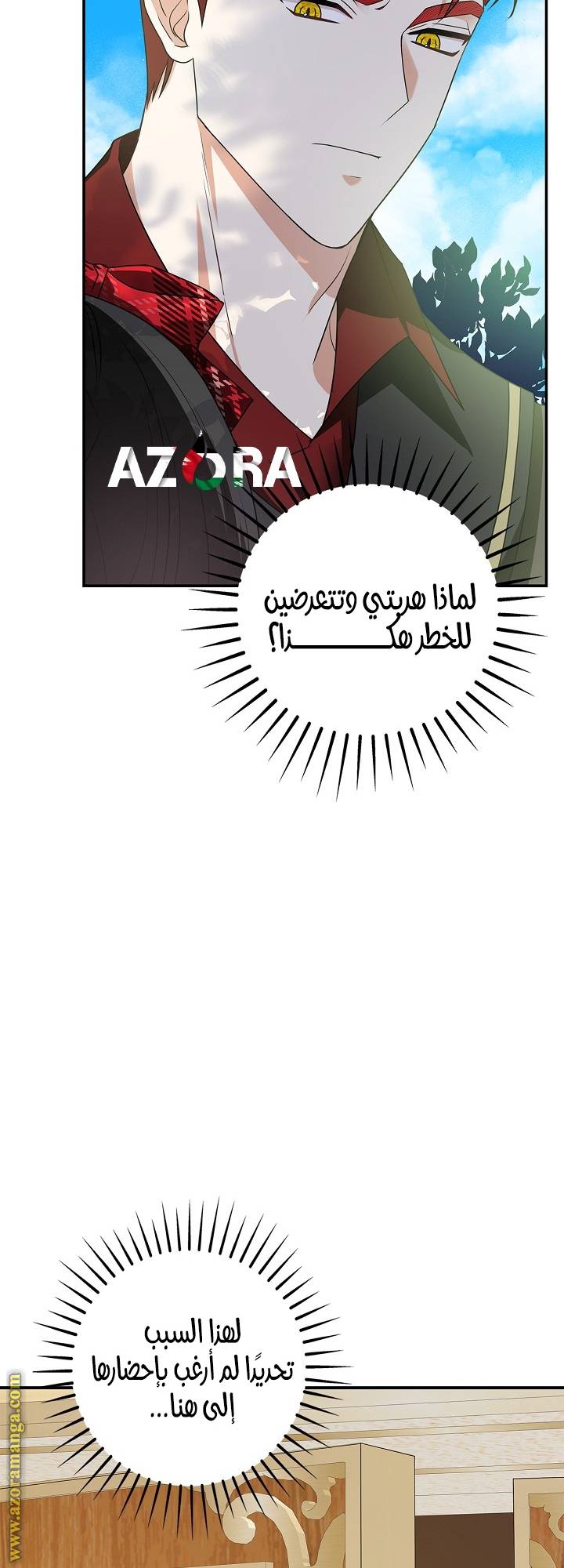 الصفحة 29