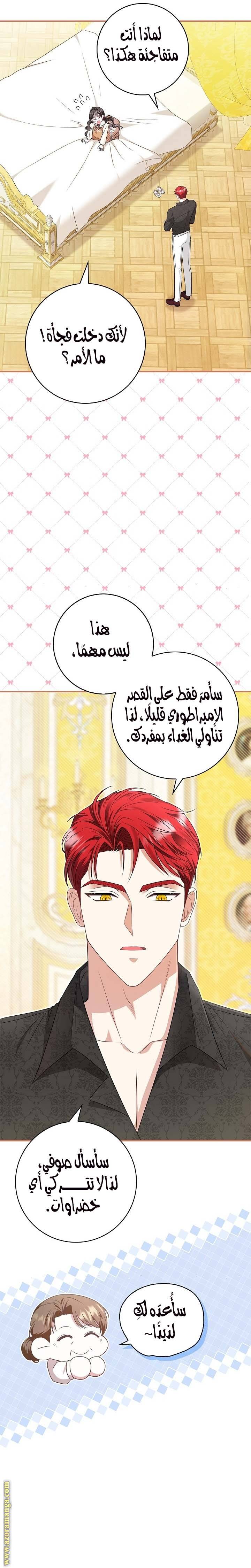 الصفحة 14
