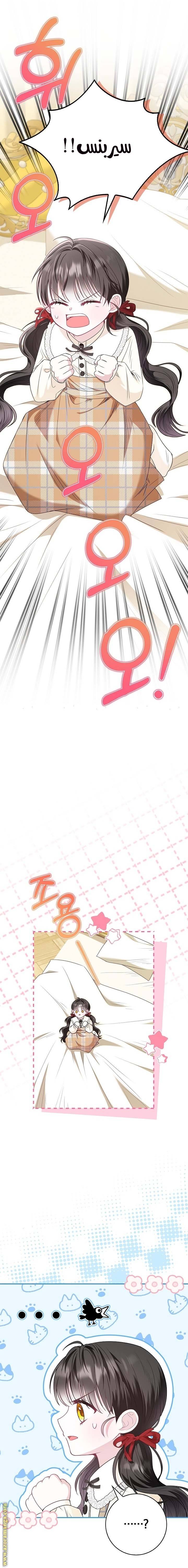 الصفحة 23