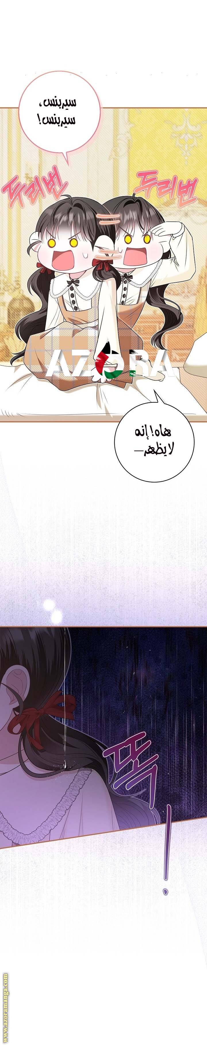 الصفحة 24
