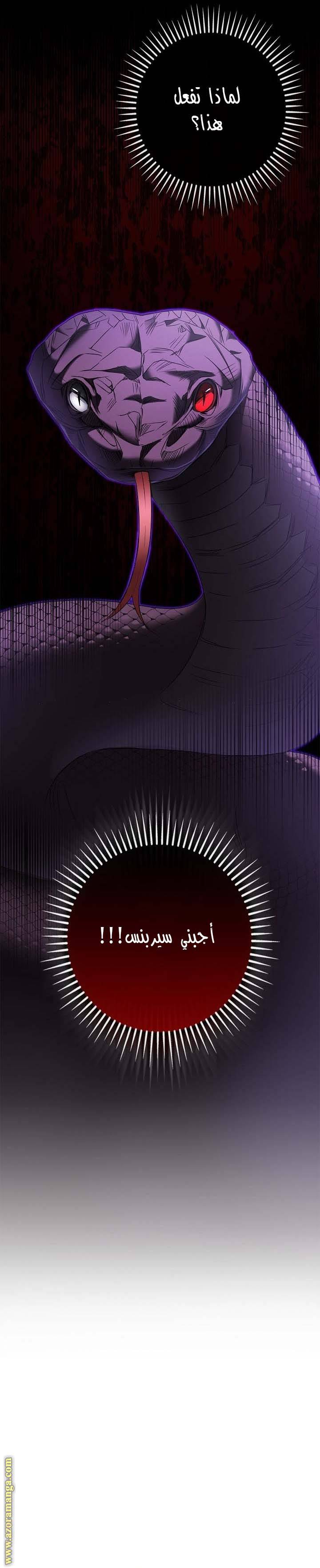 الصفحة 27