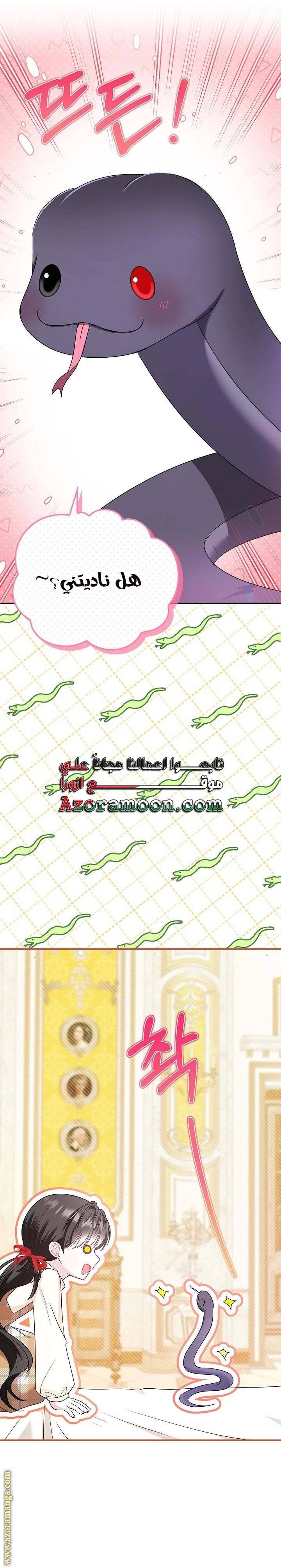 الصفحة 29