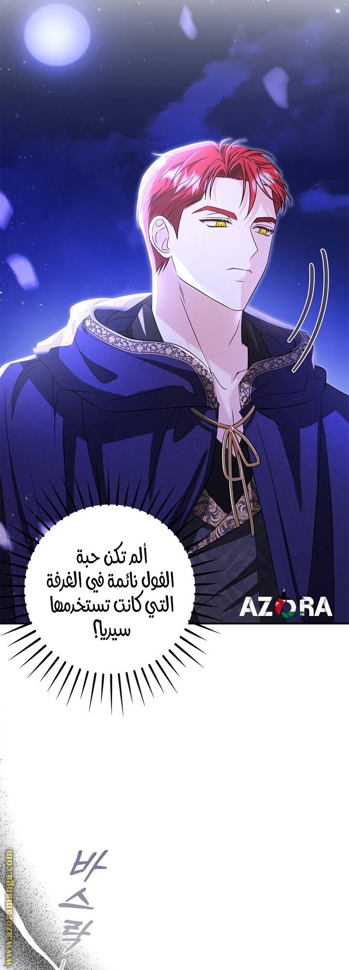 الصفحة 45