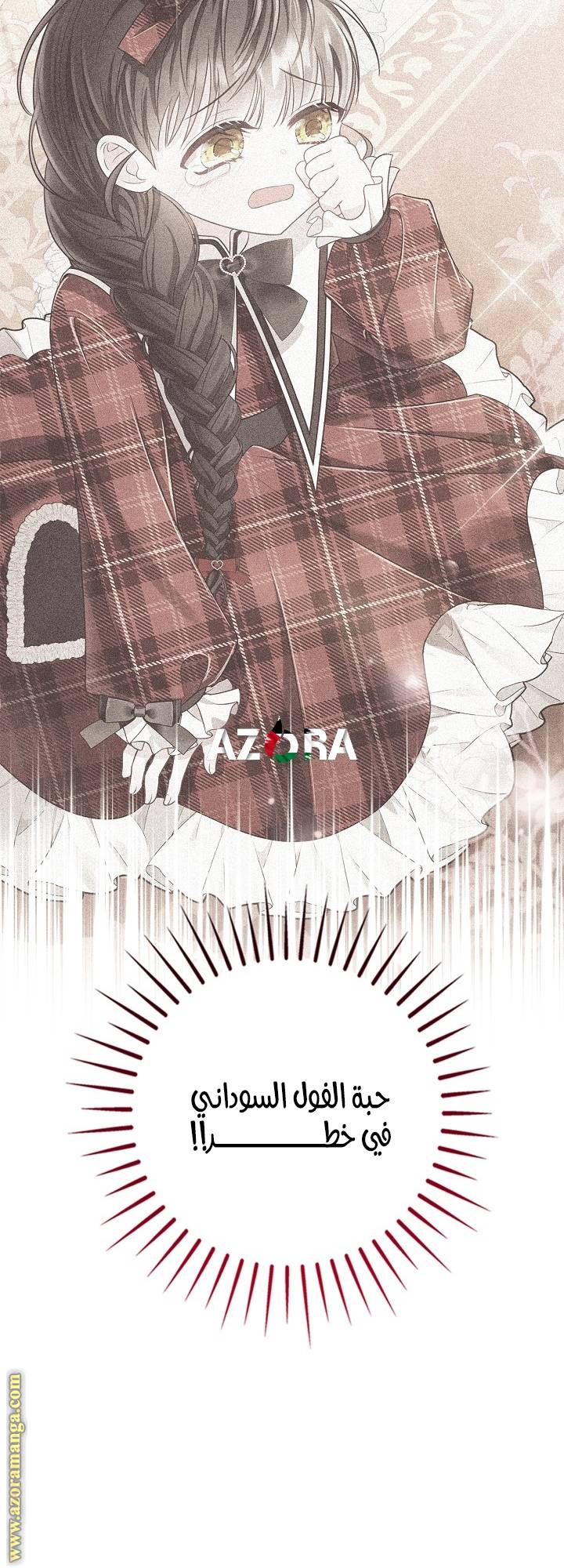 الصفحة 61