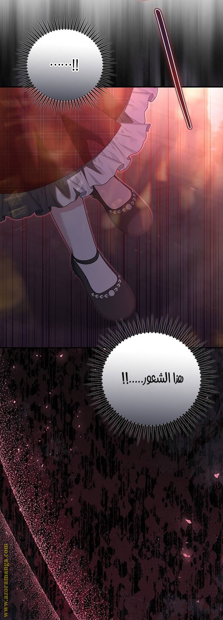 الصفحة 25