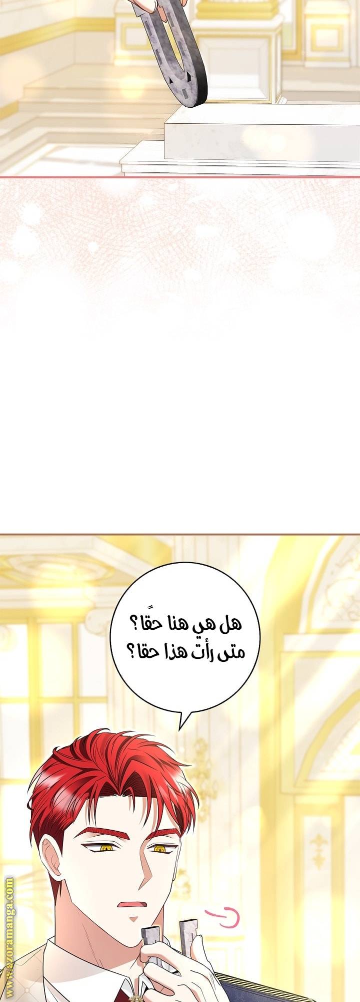 الصفحة 43