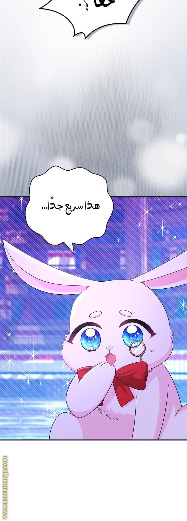 الصفحة 42