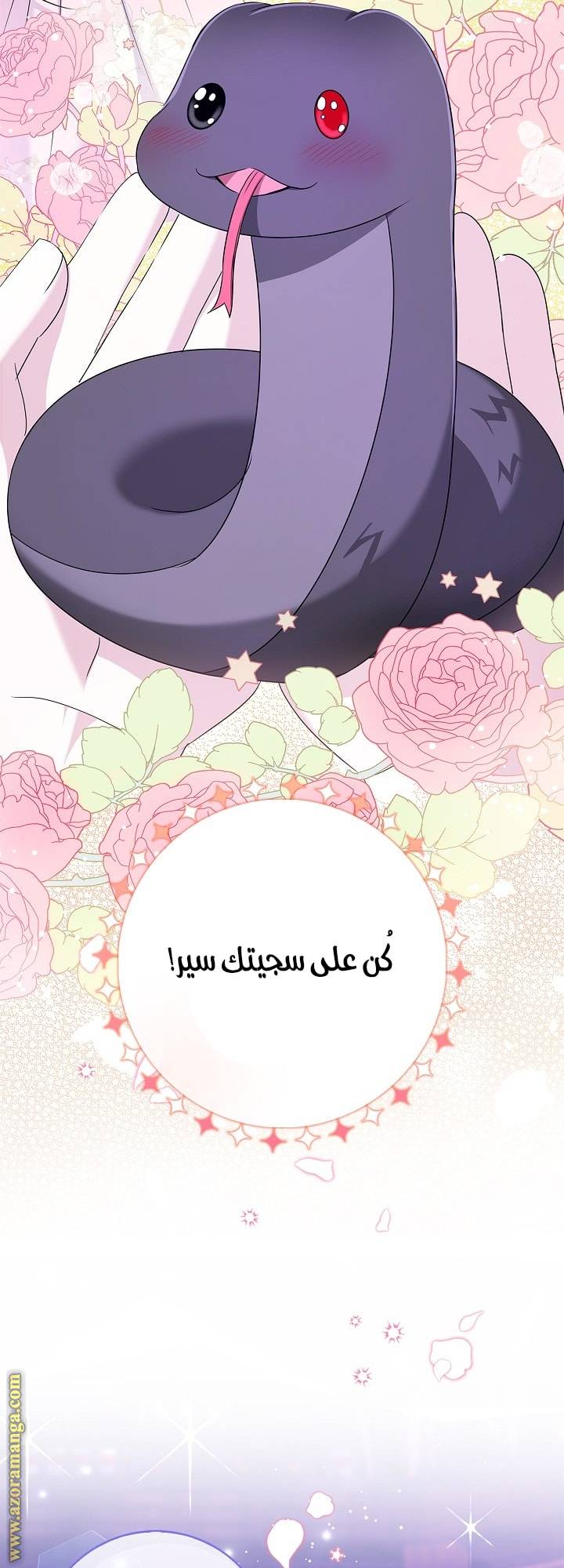 الصفحة 58