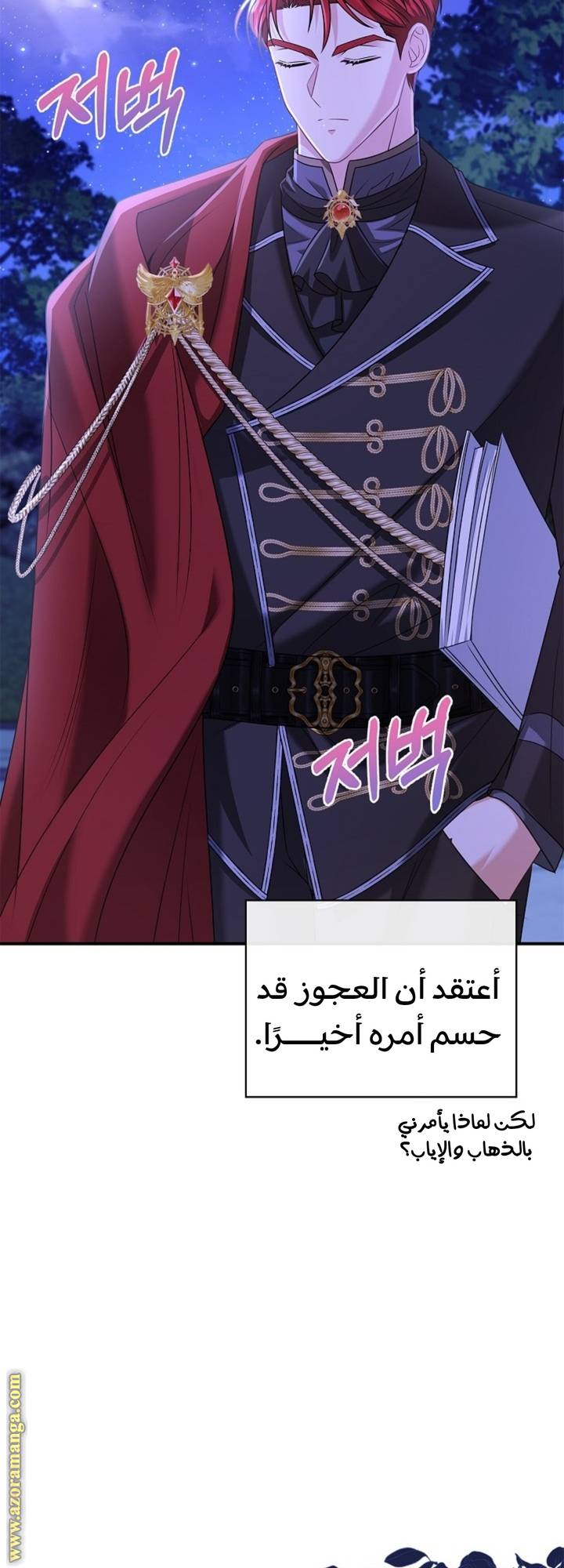 الصفحة 26