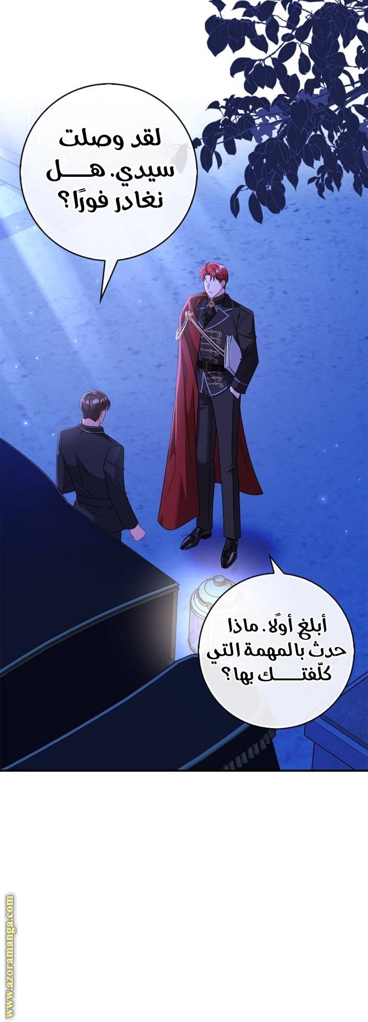 الصفحة 27