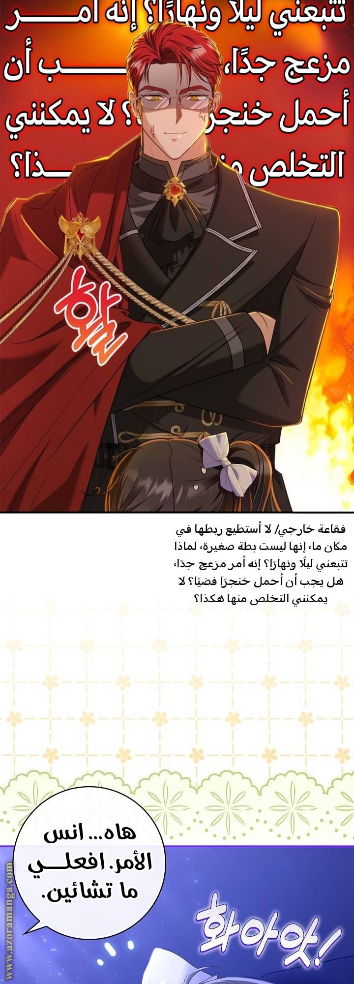 الصفحة 41