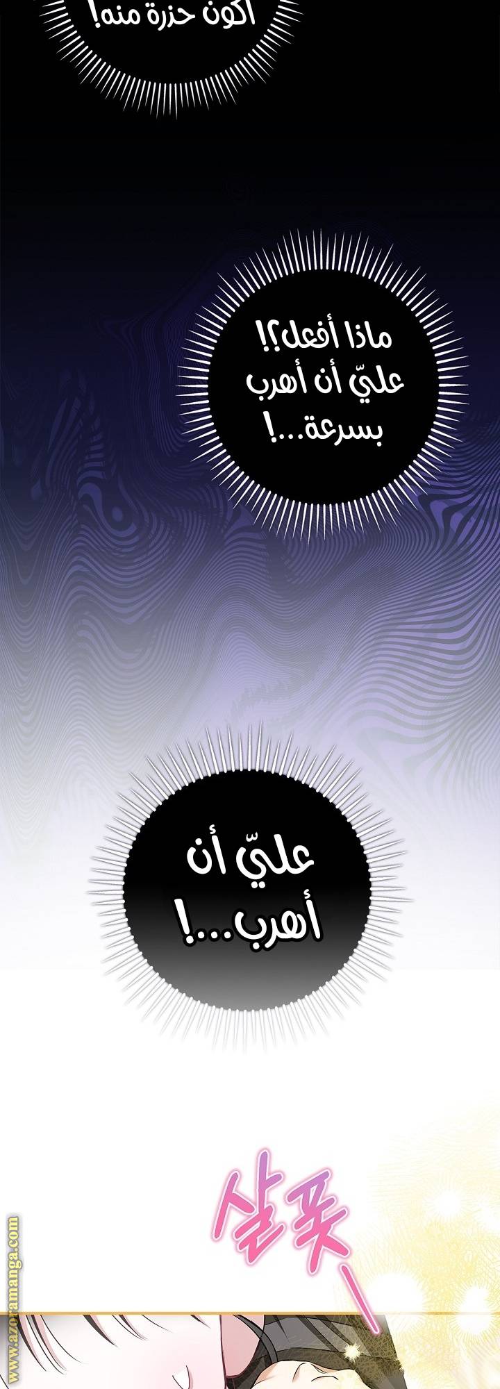 الصفحة 73