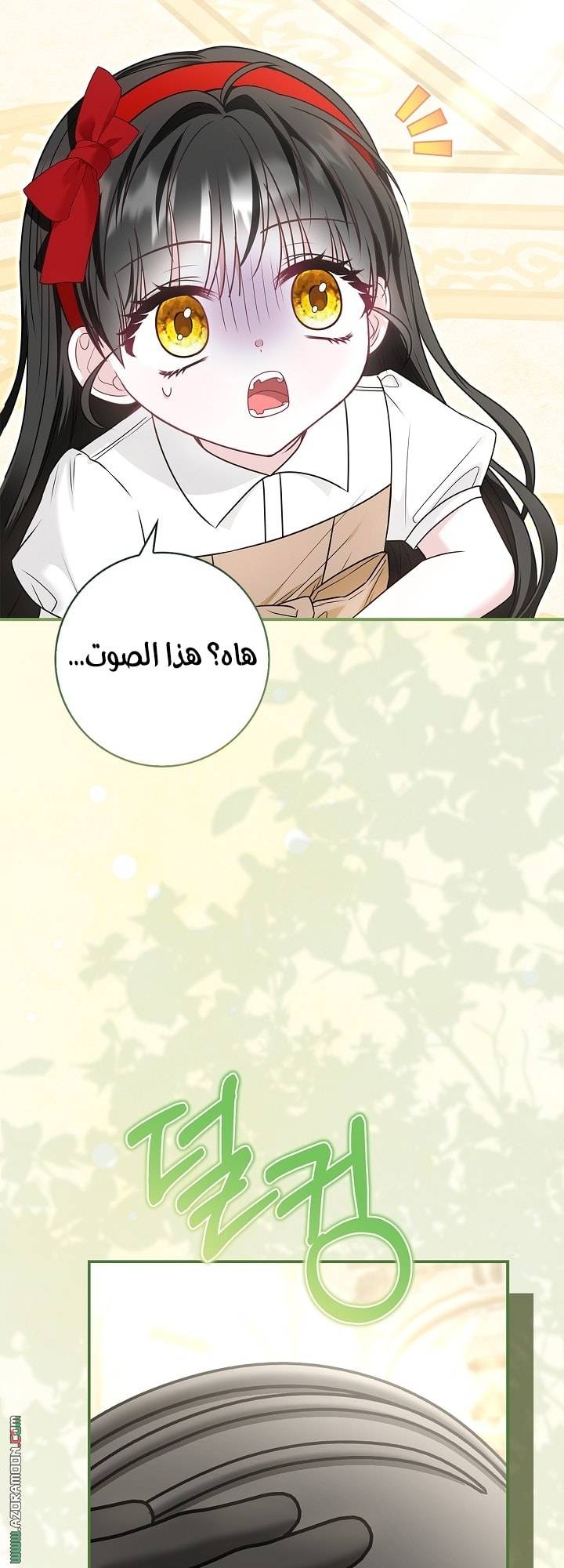 الصفحة 25