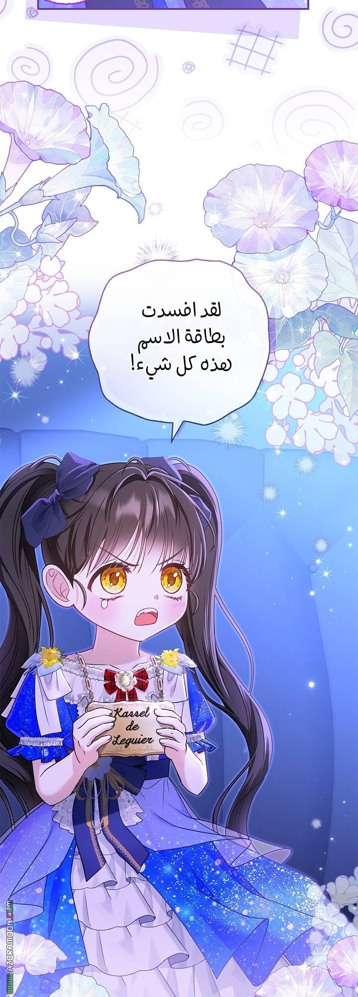 الصفحة 71