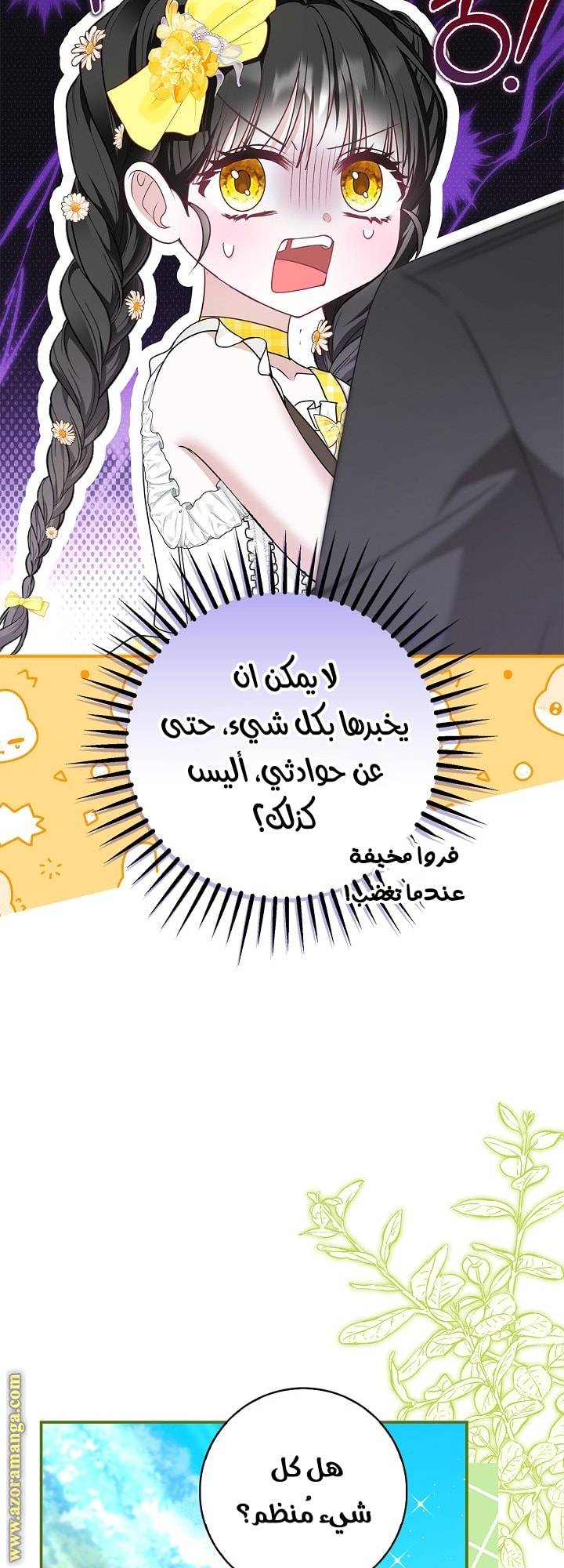 الصفحة 27