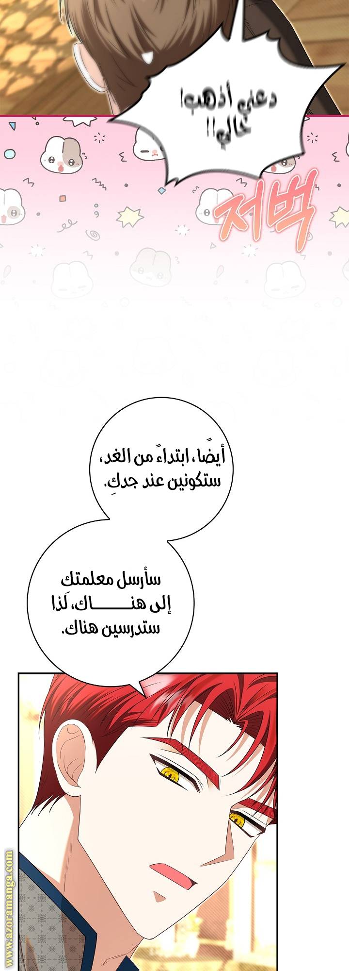 الصفحة 17