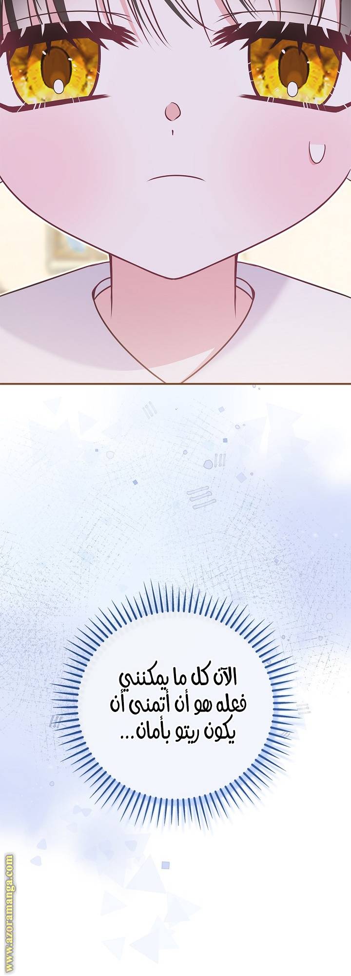 الصفحة 22