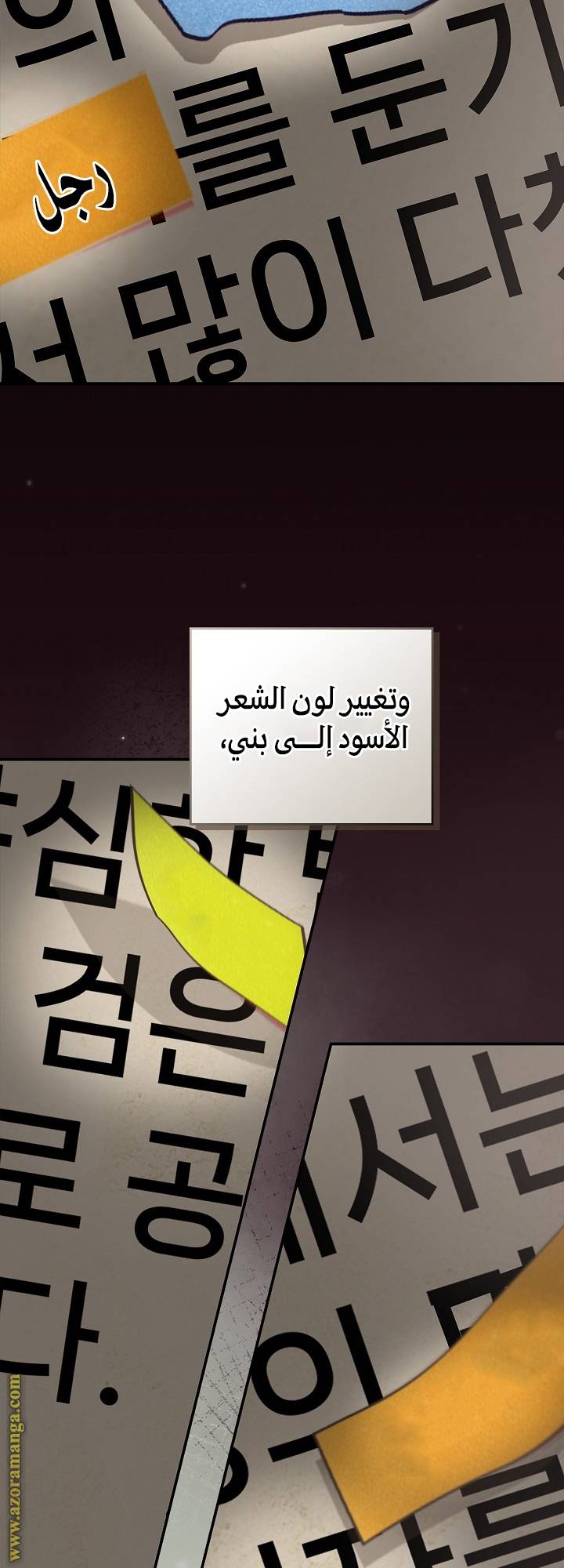الصفحة 47