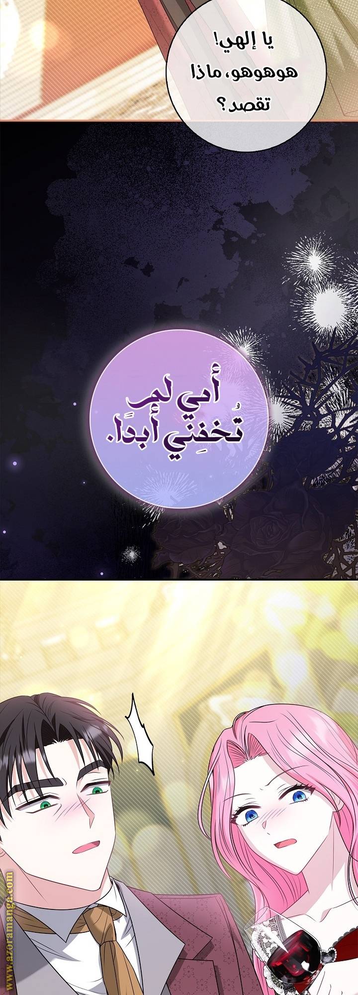 الصفحة 14