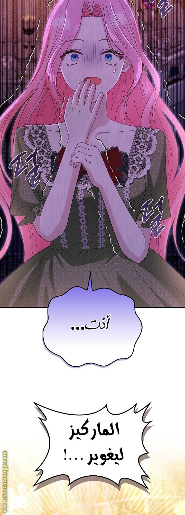 الصفحة 25