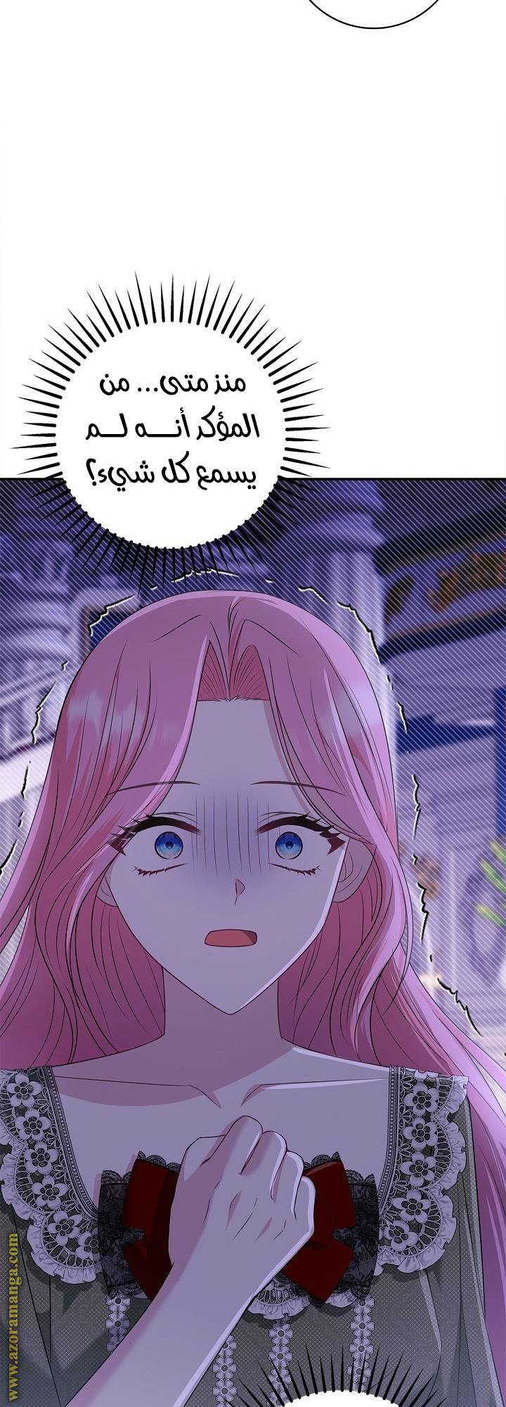 الصفحة 29