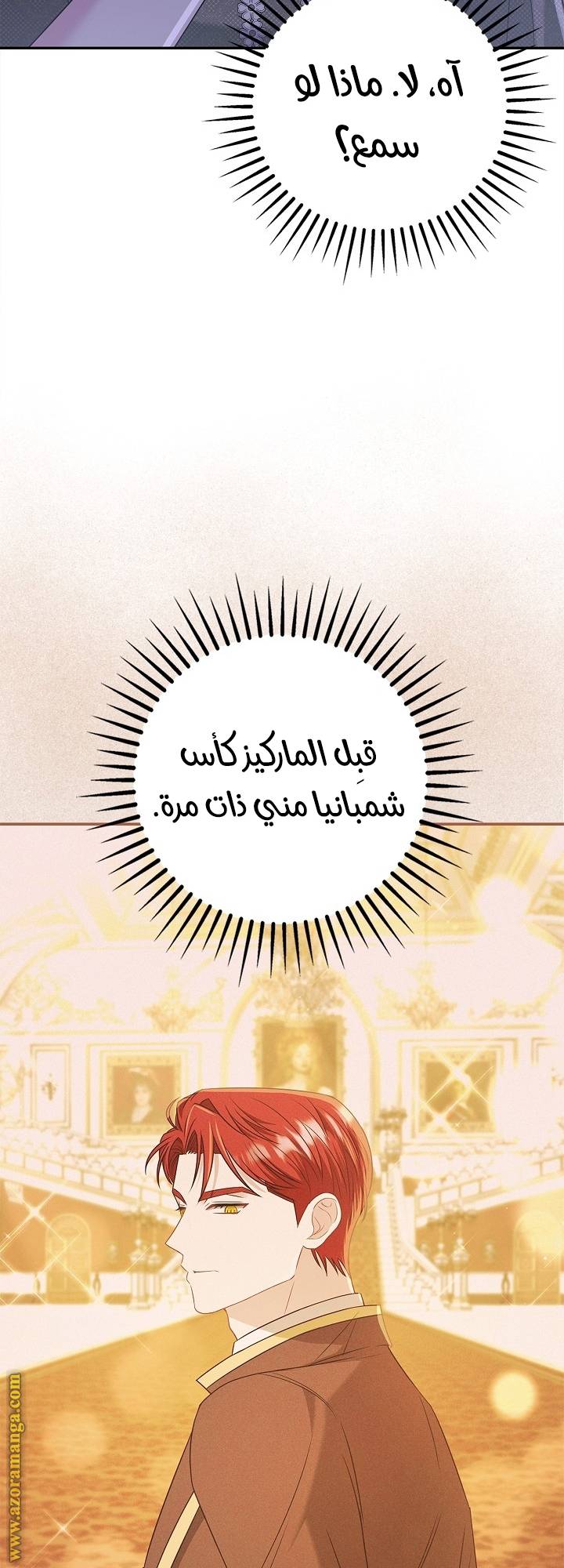الصفحة 30