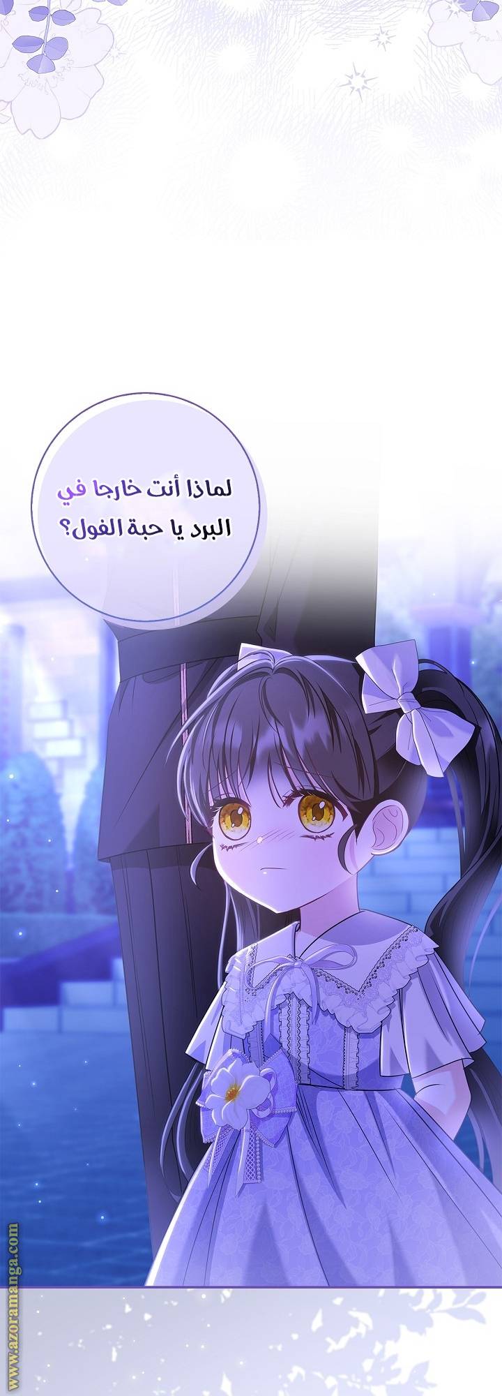 الصفحة 41