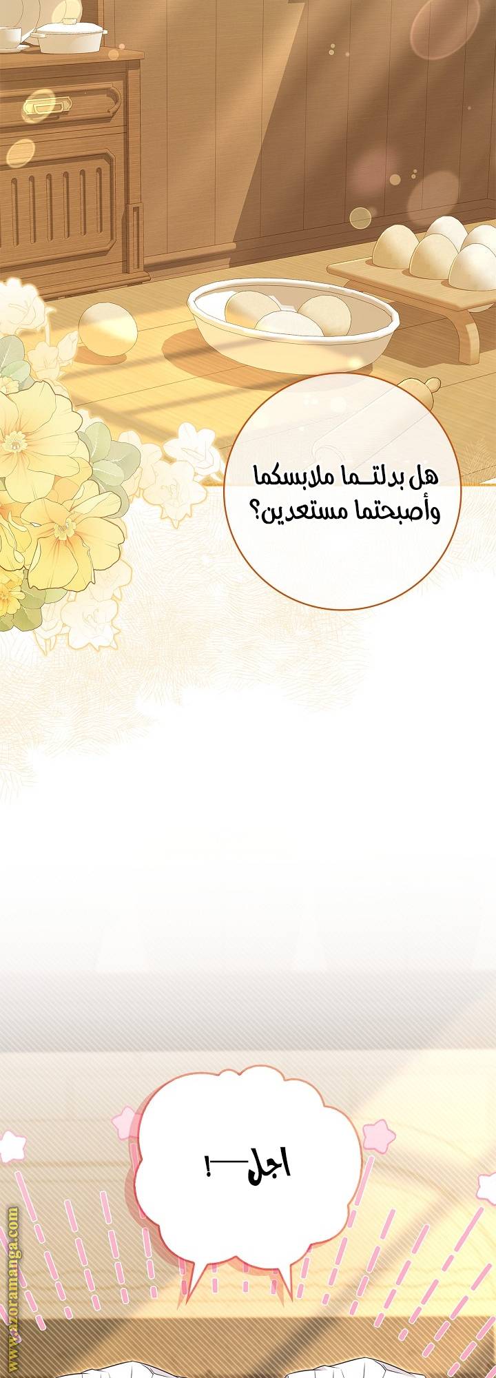 الصفحة 13