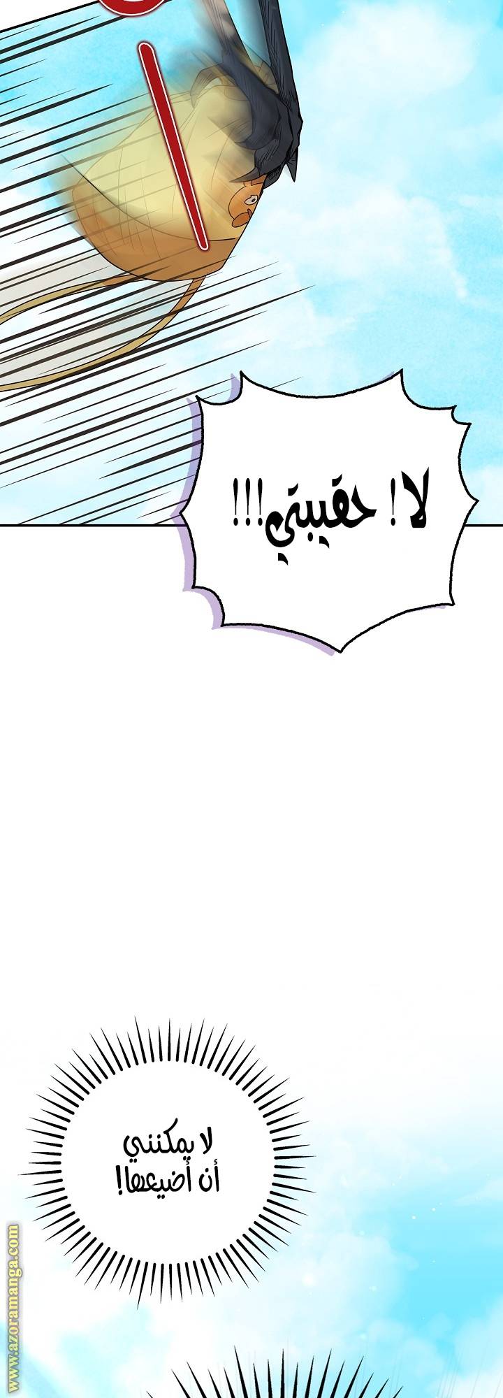 الصفحة 45