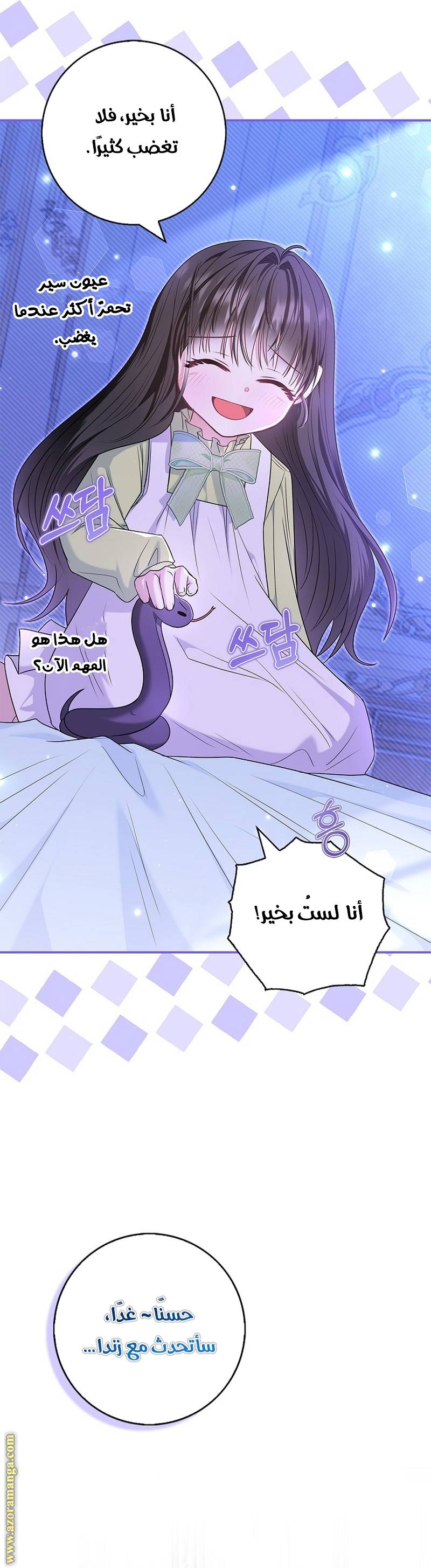الصفحة 13