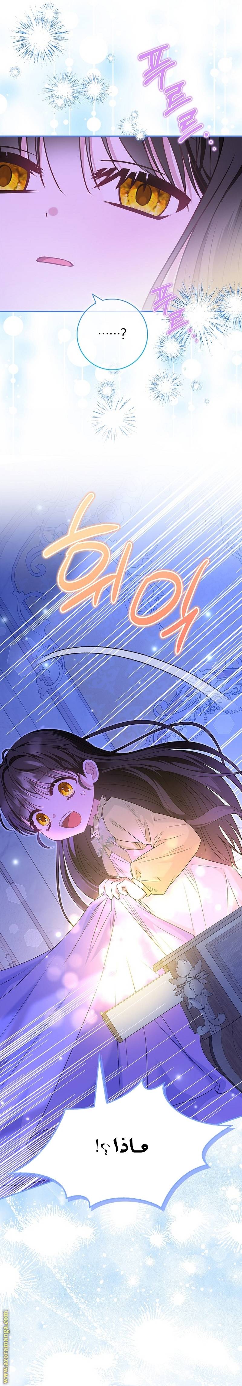 الصفحة 19